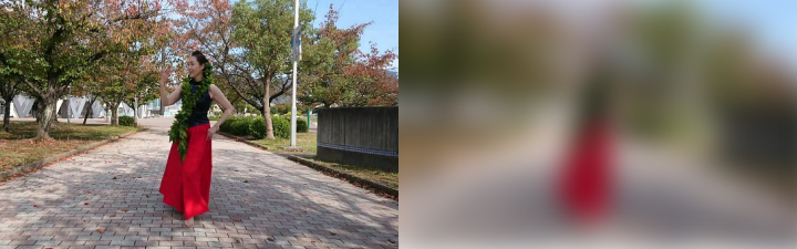 フラダンスのイメージ